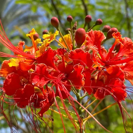 Numancia1- 3b Apartament Las Palmas de Gran Canaria