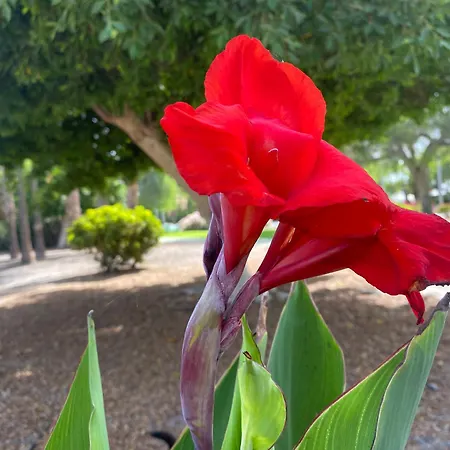 アパート Numancia1- 3b *