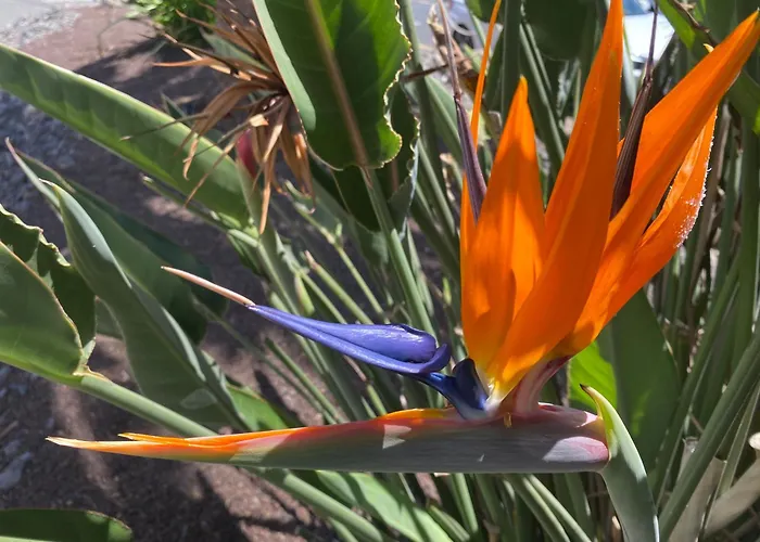 Апартаменты Numancia1- 3b