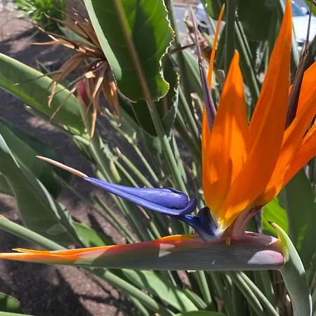 Apartmán Numancia1- 3b