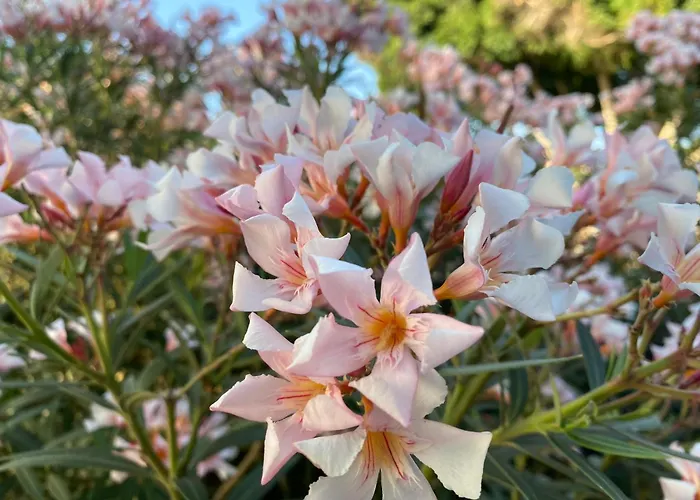 Apartmán Numancia1- 3b Las Palmas de Gran Canaria