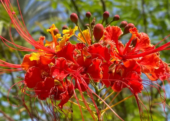 Numancia1- 3b Apartmán Las Palmas de Gran Canaria