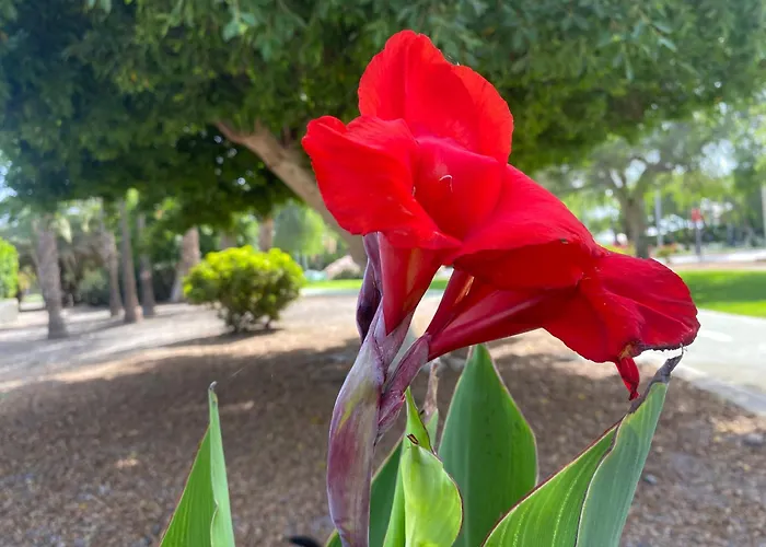 Apartmán Numancia1- 3b *